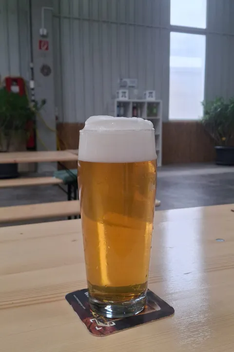 Frisch gezapftes Samtgoscherl im Glas in der Braustube