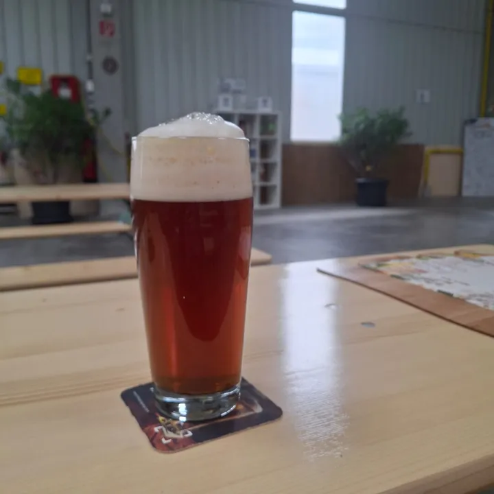 Schani frisch gezapft